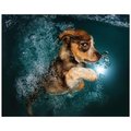 Empire Art Direct Empire Art Direct TMP-UD16-1620 German Shepherd Frameless Free Floating Tempered Glass Panel Graphic Wall Art TMP-UD16-1620